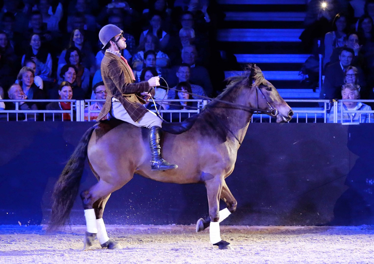 Equitana 2015 Hop-Top Show IV