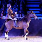 Equitana 2015 Hop-Top Show IV