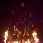 Equitana - Hop Top Show 2009 II