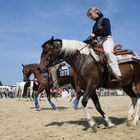 Equitana Open Air, Abreiteplatz Westernpferde