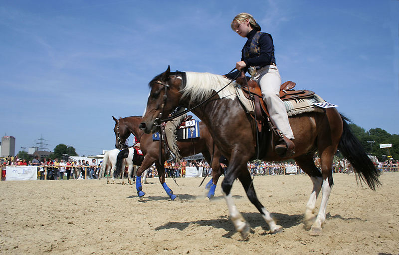 Equitana Open Air, Abreiteplatz Westernpferde