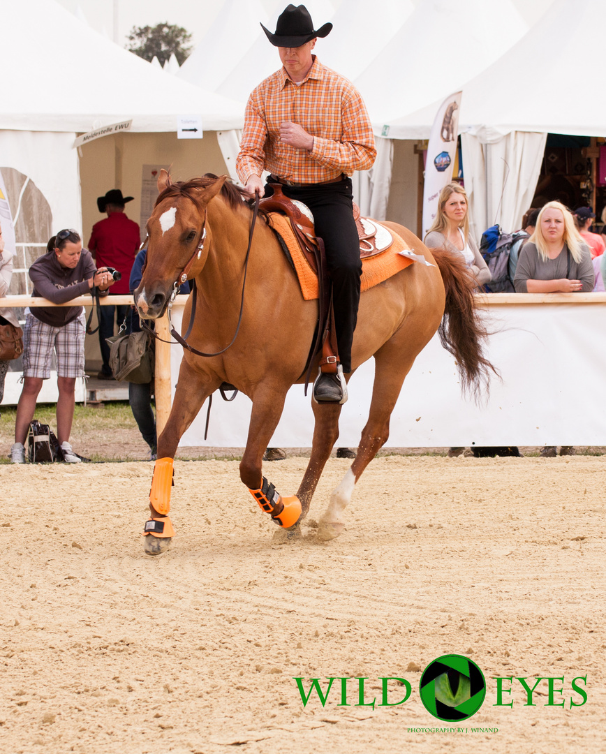 Equitana Open Air - Reining