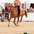 Equitana Open Air - Reining