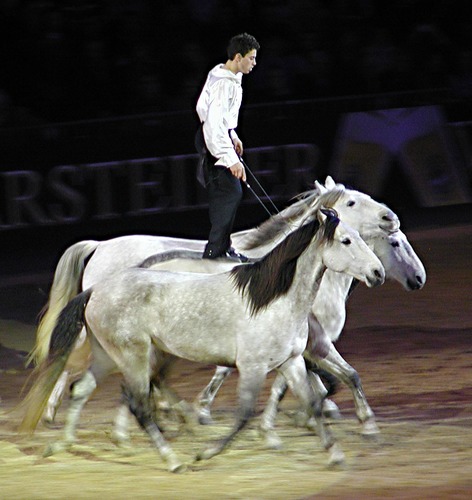 Equitana...HopTop Show.....Lorenzo