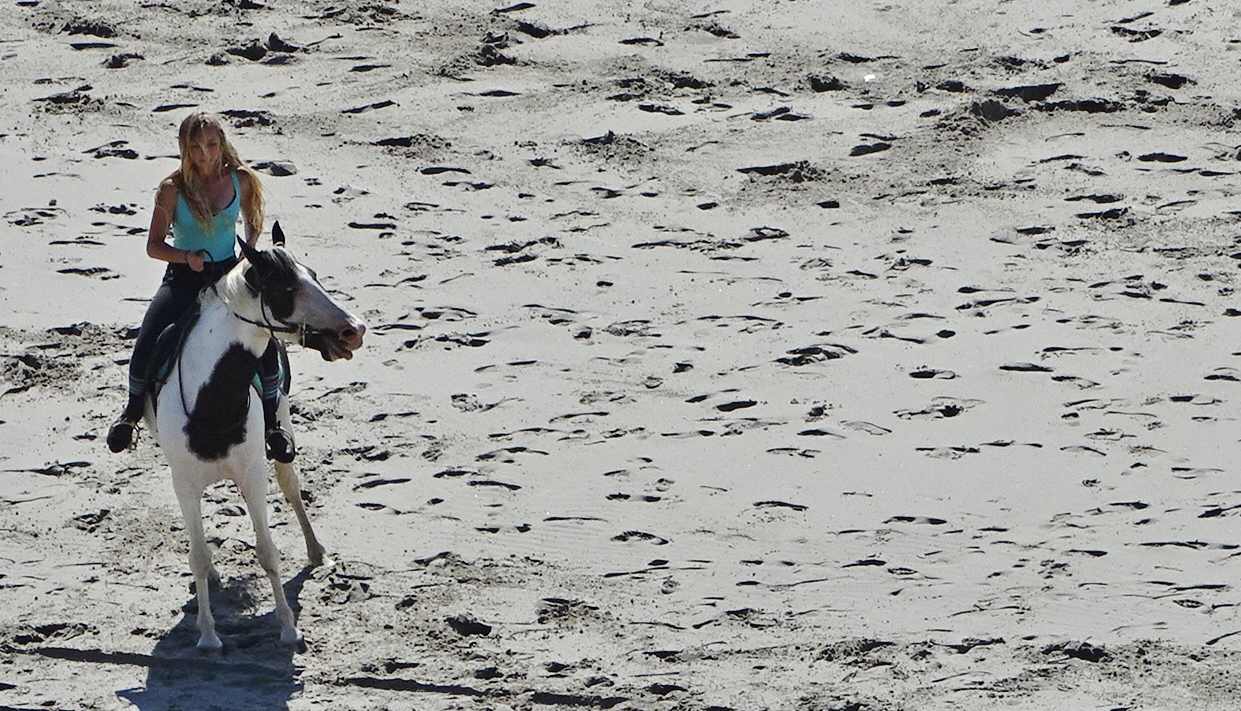 Equitation sur la plage