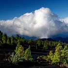 er dampft noch - Vulkan Tajogaite, La Palma