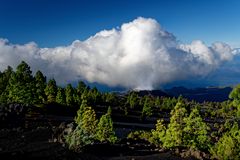er dampft noch - Vulkan Tajogaite, La Palma