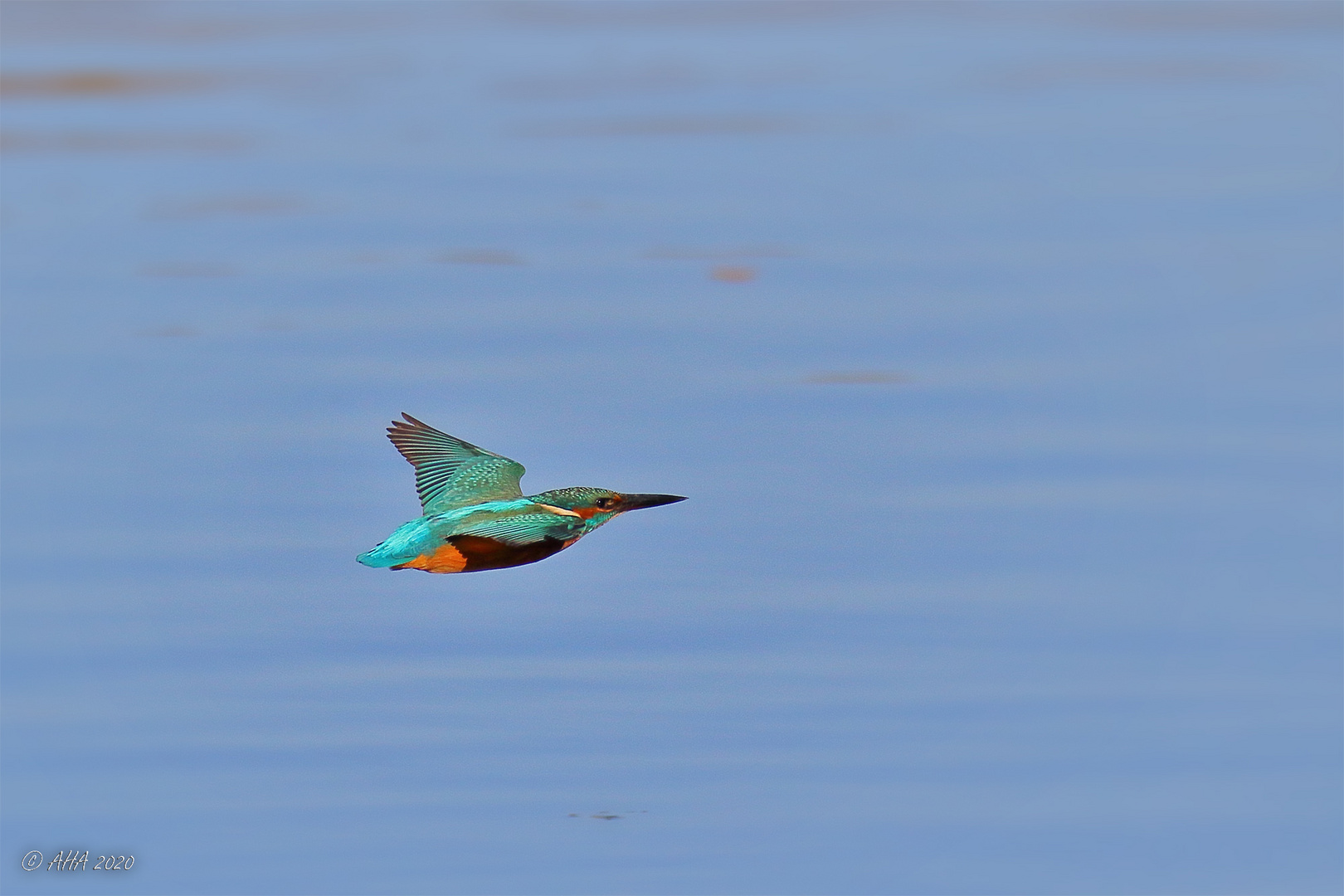 Er fliegt auch über blaues Wasser...! ;-)