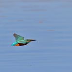 Er fliegt auch über blaues Wasser...! ;-)