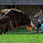 Er flieht vor den Menschenblicken