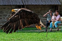 Er flieht vor den Menschenblicken