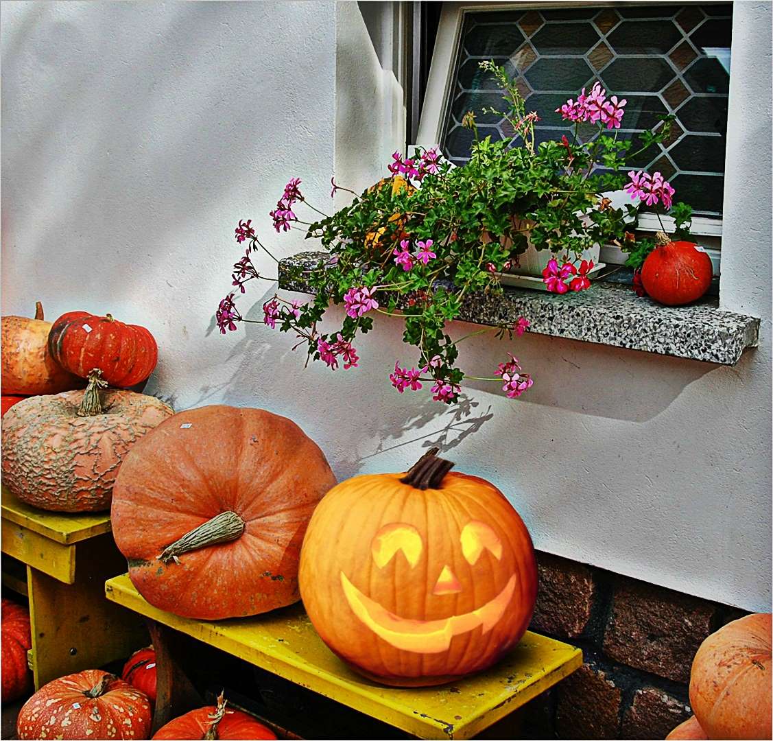 er freut sich schon auf Halloween