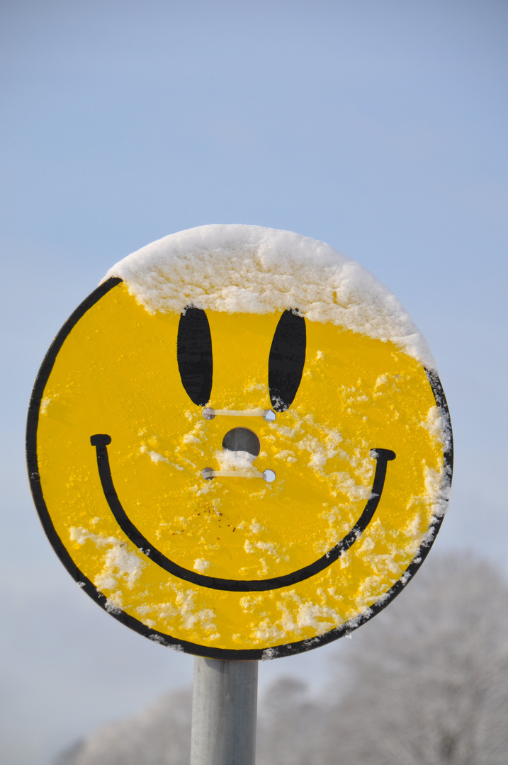 Er Freut Sich Uber Den Schnee Foto Bild Quatsch Fun Smiley Digiart Bilder Auf Fotocommunity