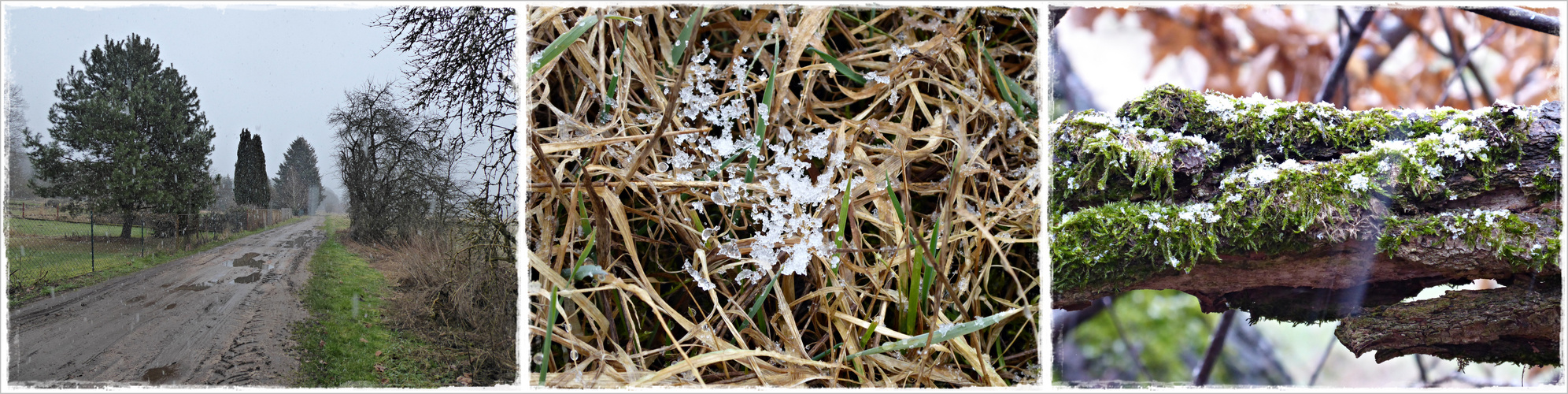 er gibt noch nicht auf, der Winter