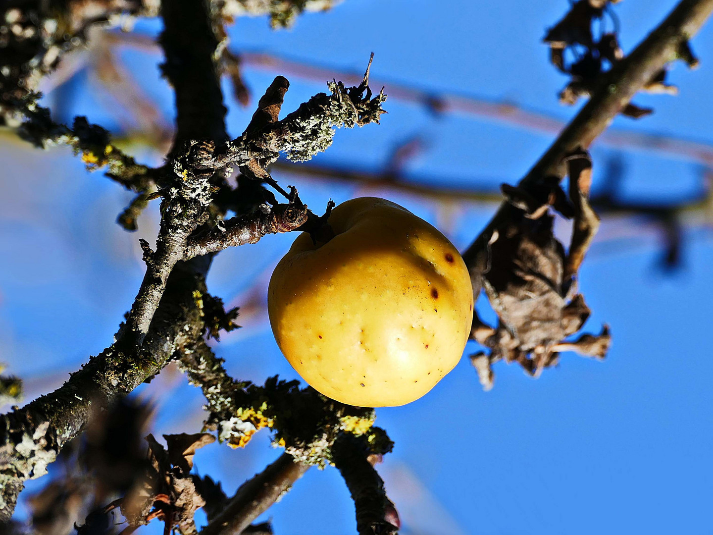 er hält sich krampfhaft am Baum fest