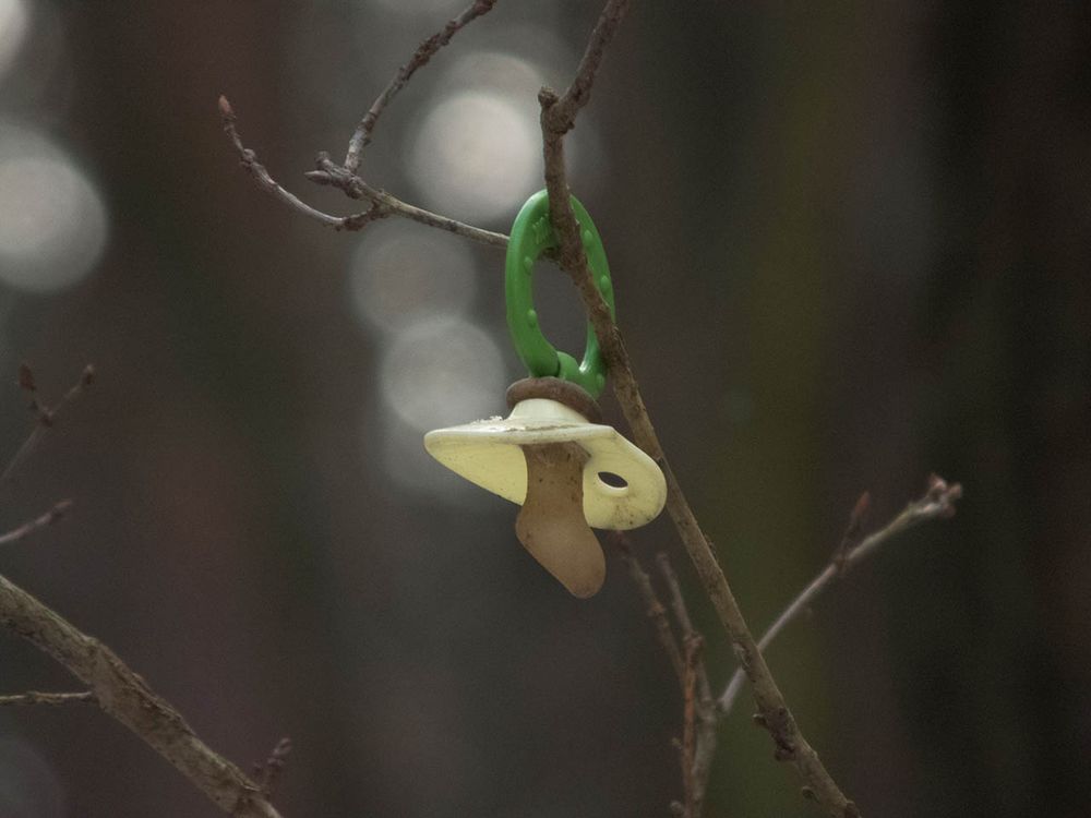 Er hängt noch immer (Der Gemeine Waldnuckel - 2)