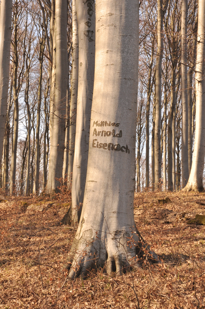 er hätte auch "ich bin ein Idiot" schreiben können...