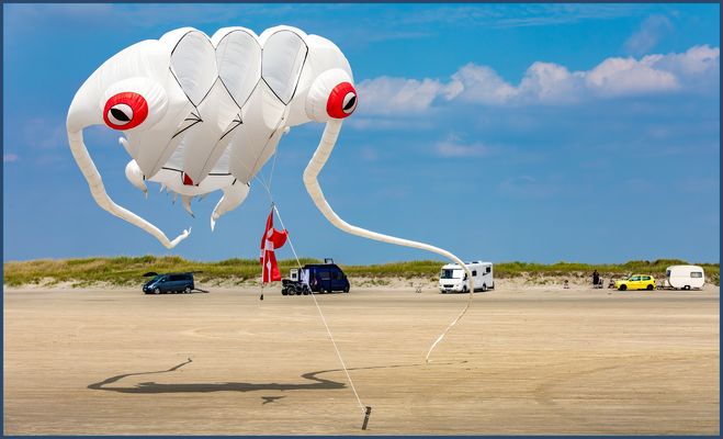 Er hat den ganzen Strand im Blick