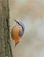 Er hatte Spass, mit der Fotografin zu spielen.