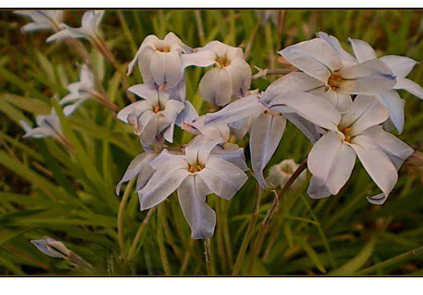 Er ist da - der Frühling!