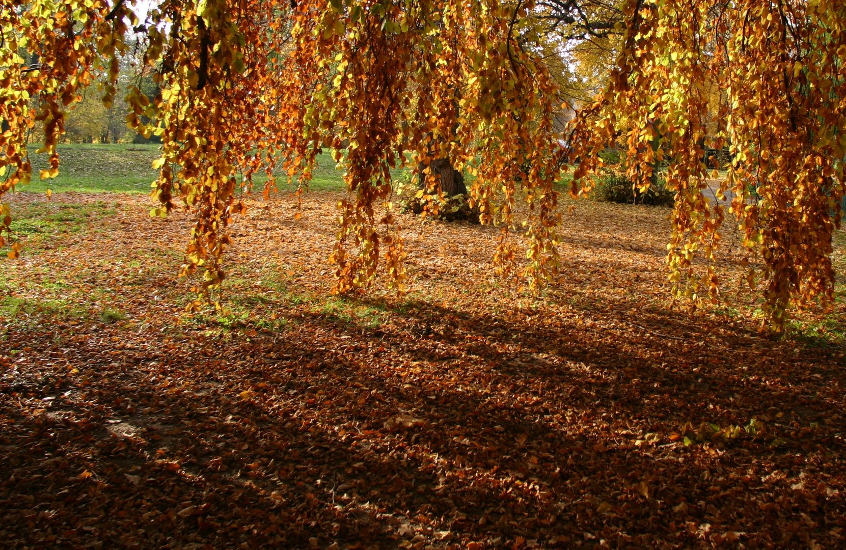 Er ist da ... der Herbst