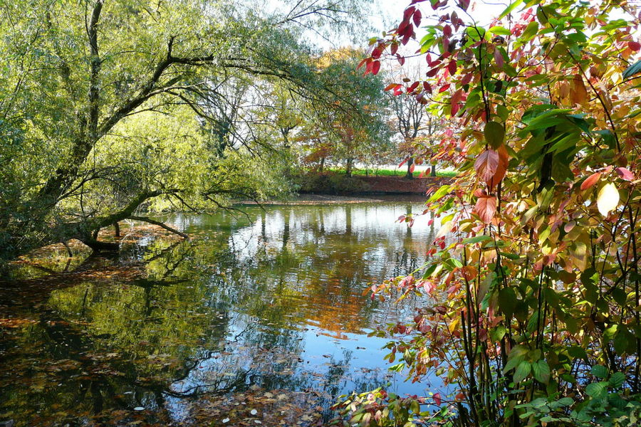 Er ist da der Herbst 4