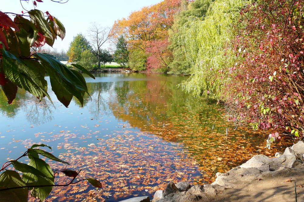 Er ist da der Herbst 5