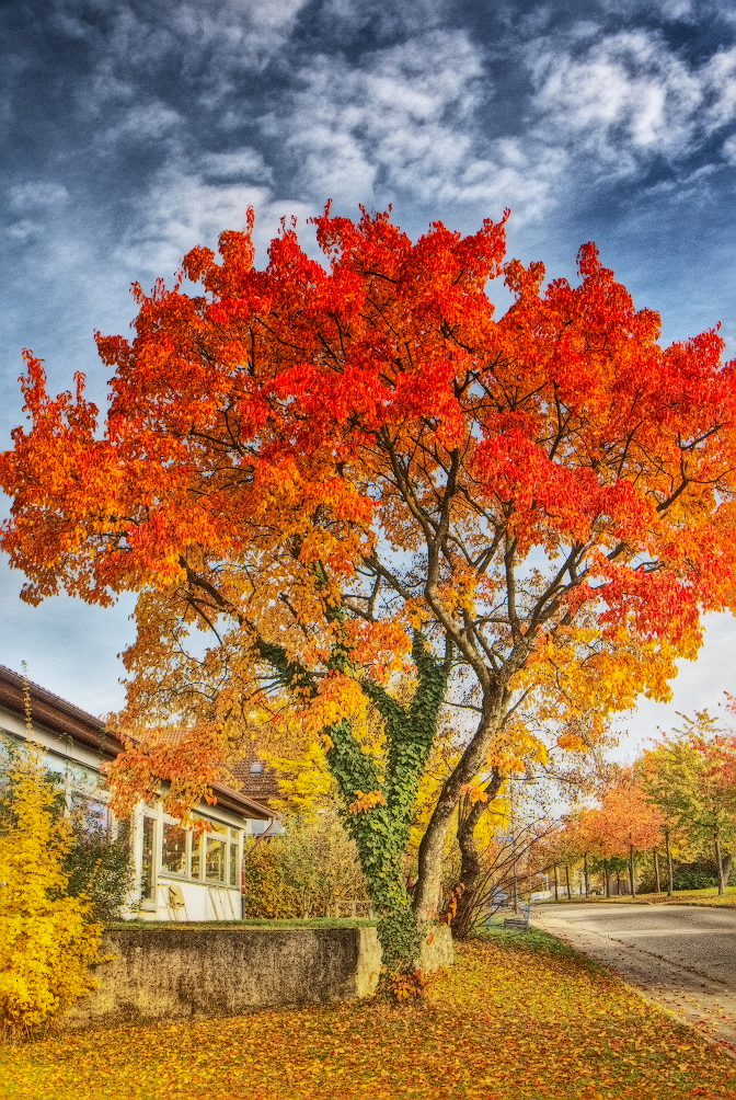 Er ist doch noch bunt der Herbst