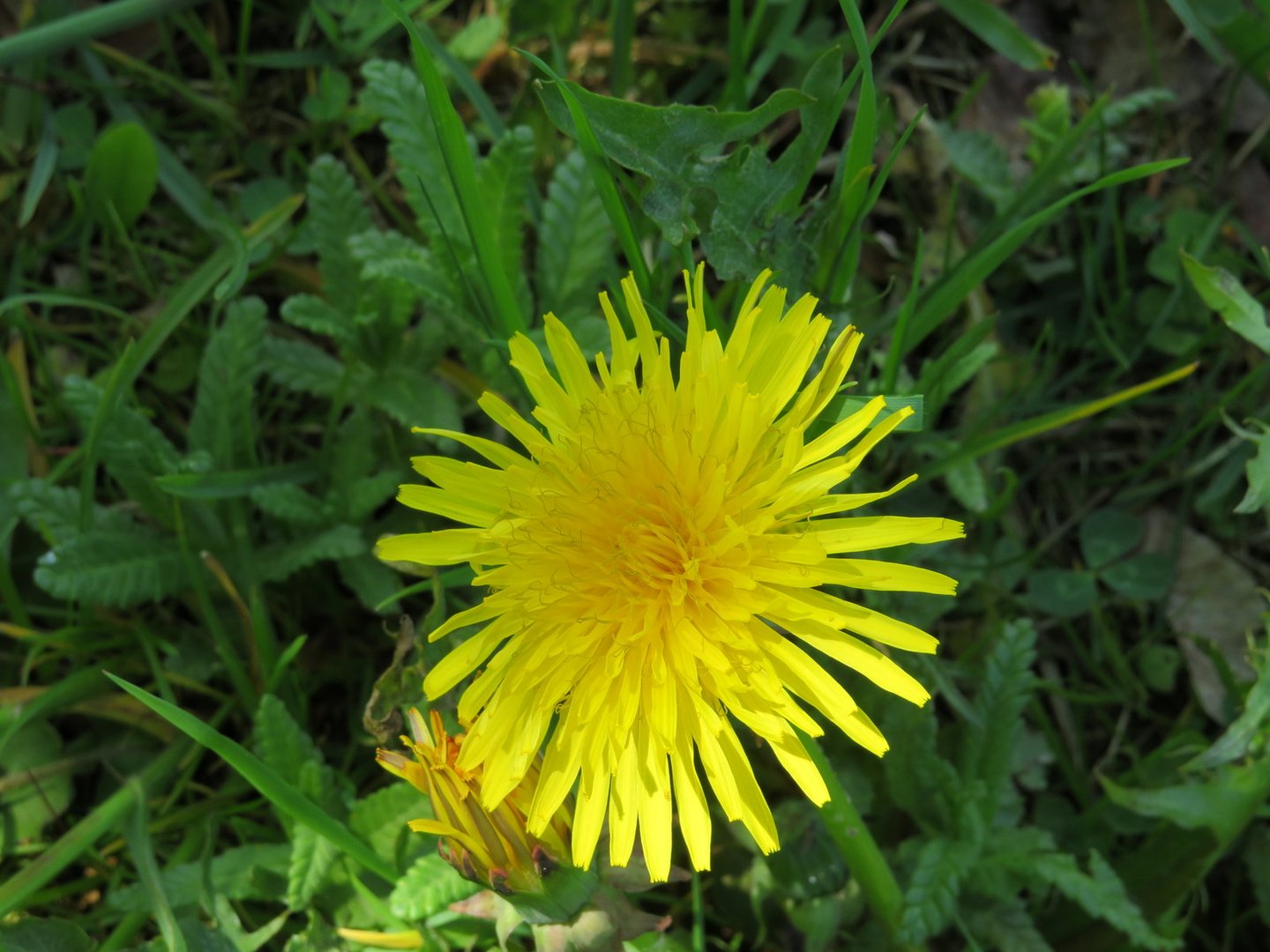 Er ist wieder da, der Frühling