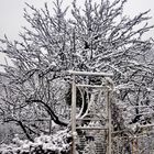 Er ist zurück gekommen der Winter mit Schnee wenn auch nur Oberhalb von Stuttgart