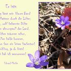 Er ist´s