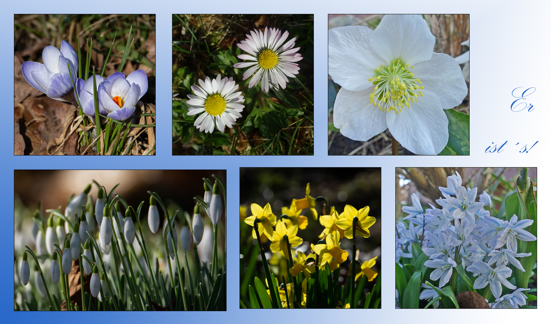 "Er ist´s" oder "Frühling lässt sein . . .