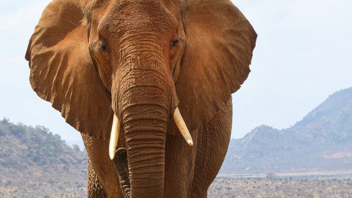 Er kam mir sehr nahe