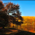 Er kann so schön sein - der Herbst