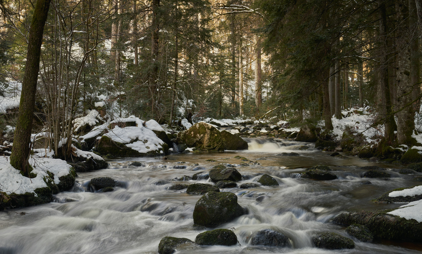 Er kommt, der Frühling