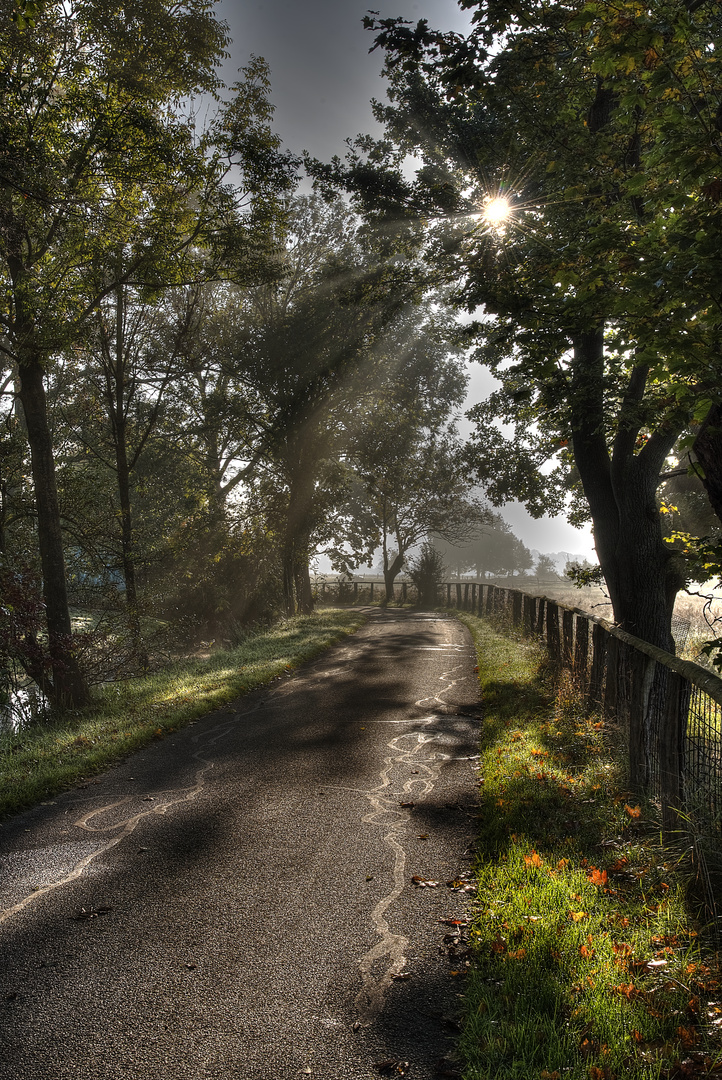 Er kommt. Der Herbst