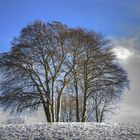 Er kommt - der Winter