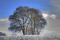 Er kommt - der Winter