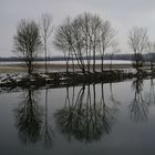 Er kommt näher (der Winter)