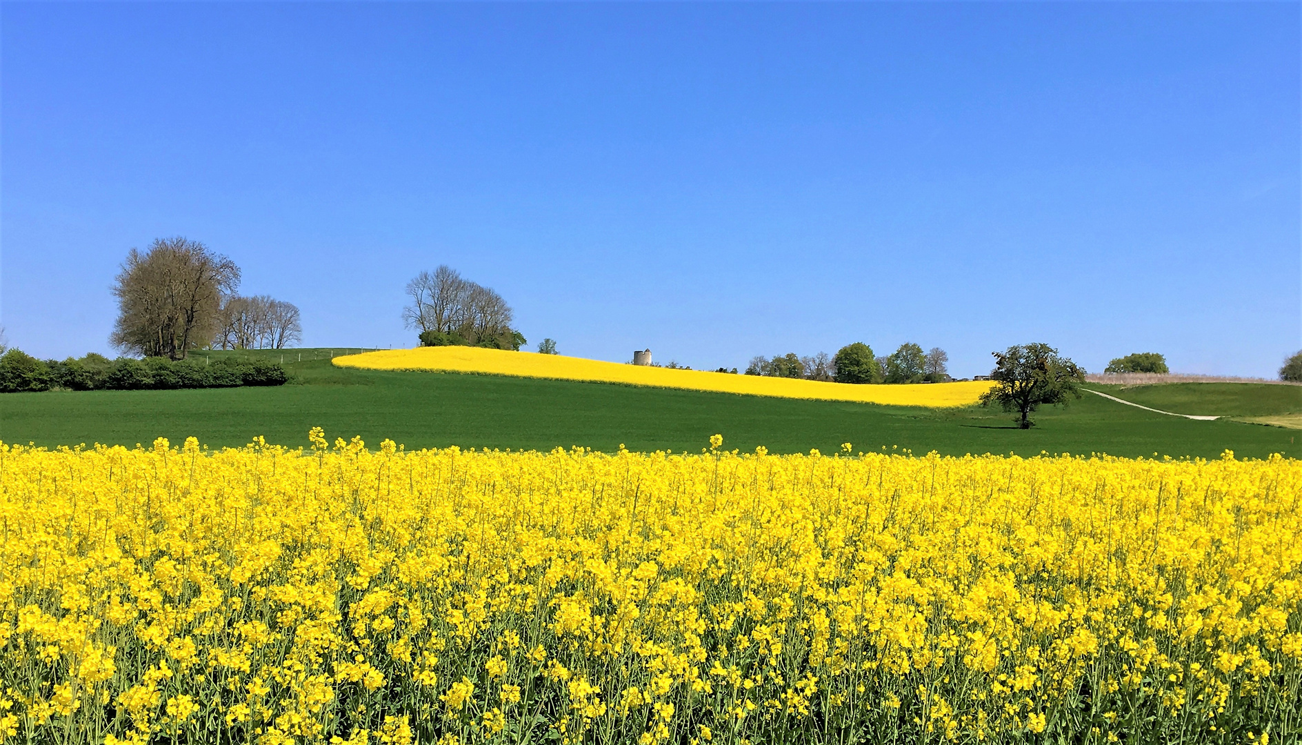 er kommt wieder, der Frühling!