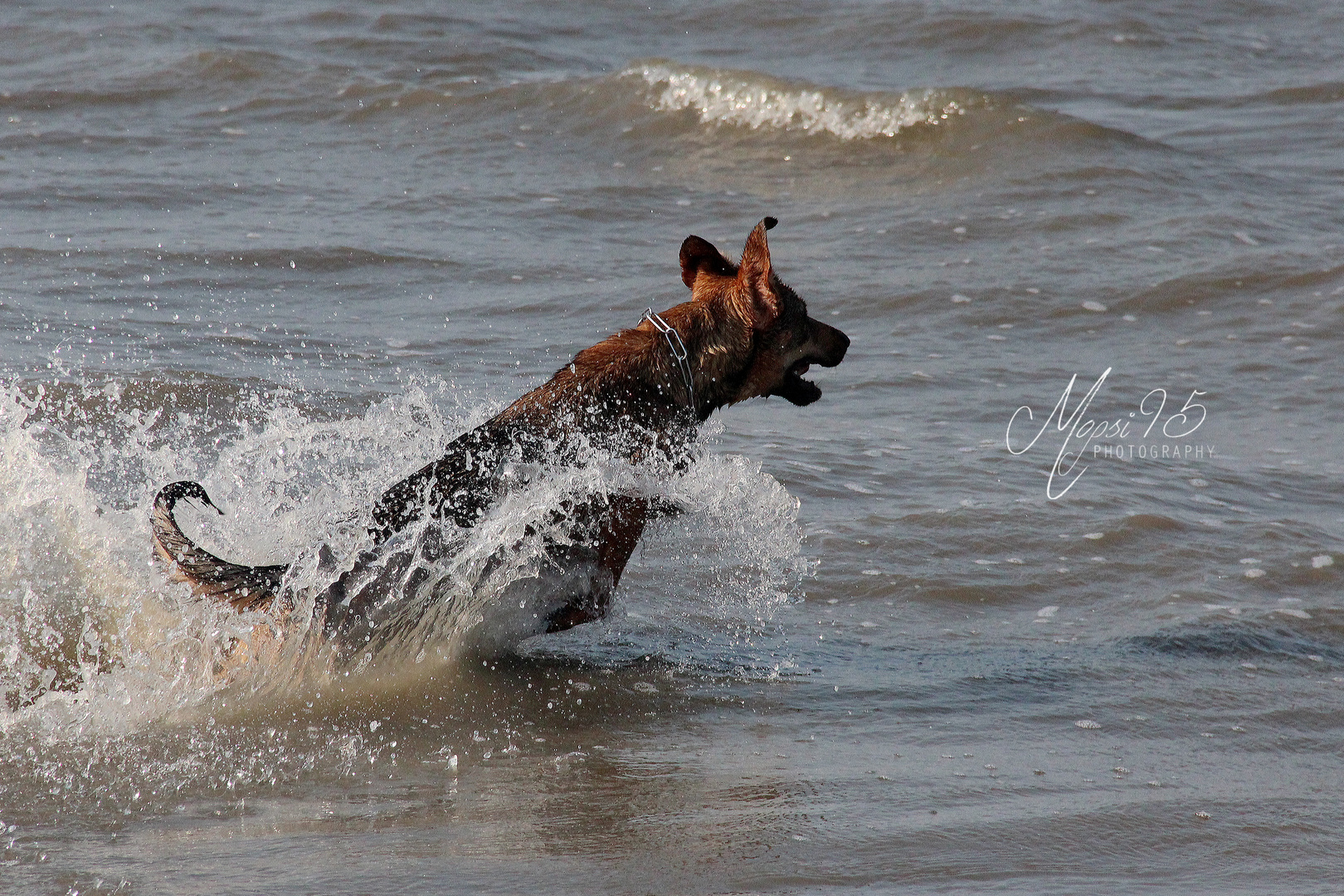 Er liebt Wasser