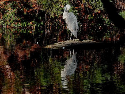 er musste wegschauen, als er sich im Wasser sah