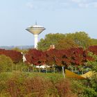 er ragt hinter den herbstlich gefärbten Bäumen hervor