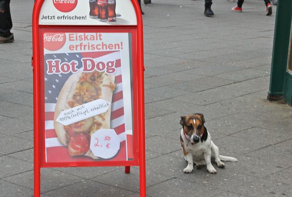 Er scheint es bereits zu ahnen..