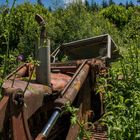 er stand da so rum...und die Idee fürs shooten war geboren