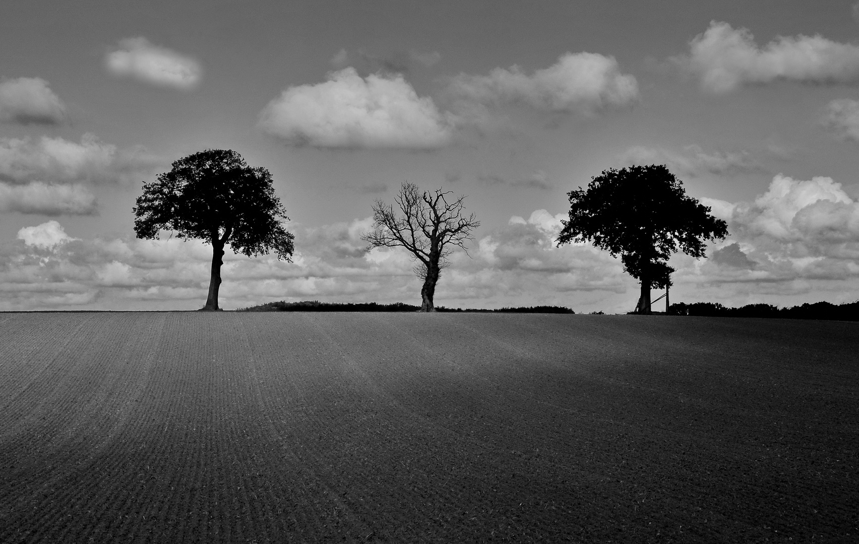 Er starb in diesem Sommer