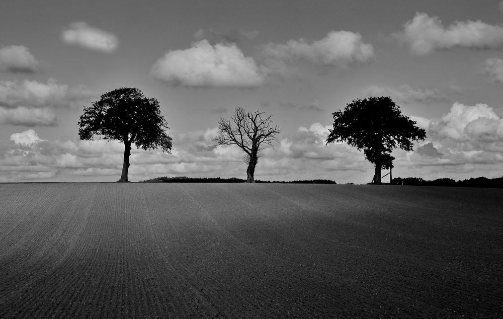 Er starb in diesem Sommer