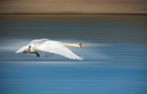 er startet wieder mal los!