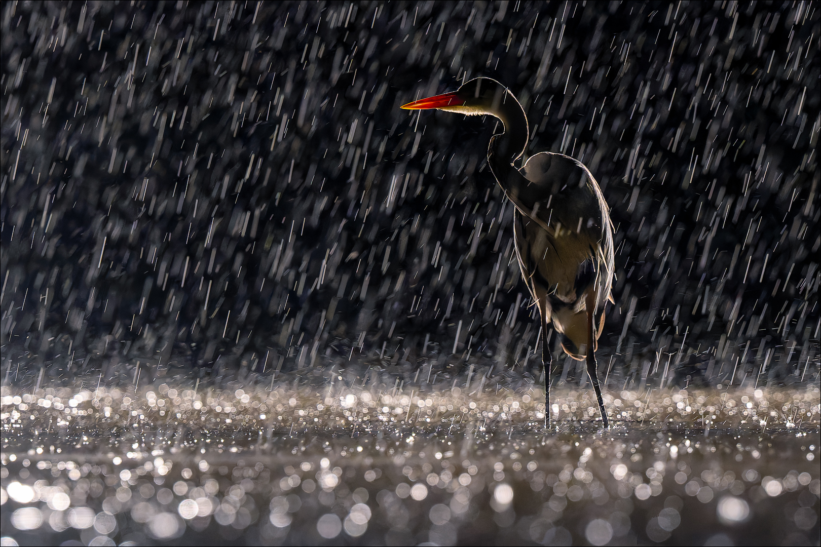 Er steht im Regen