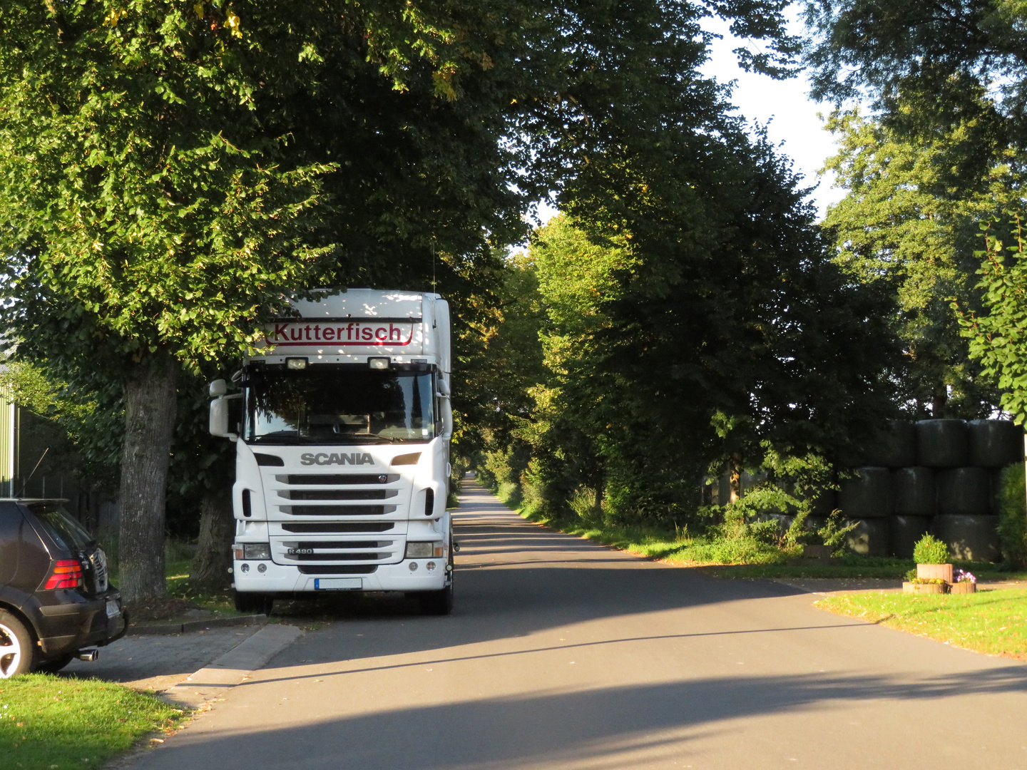 er steht immer dort Foto & Bild world, sommer, outdoor Bilder auf